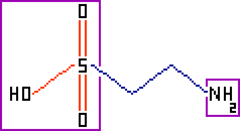 [9664c4] Taurine Skeletal