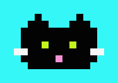 [9664c4] my little black kitty