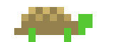 [9664c4] turtle