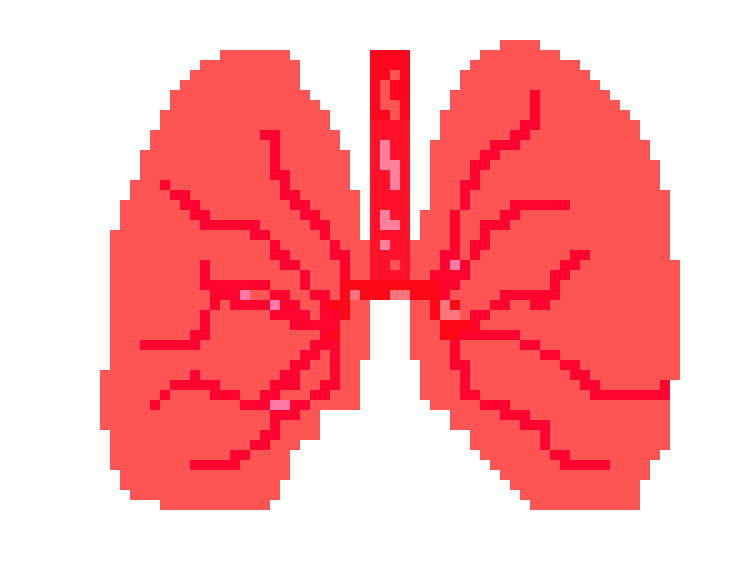 [401978] Pixel Lungs