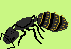 [10c0ed] queen