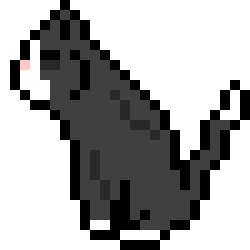 [9664c4] cat_anim_one