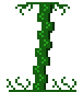 [565fc1] Vine