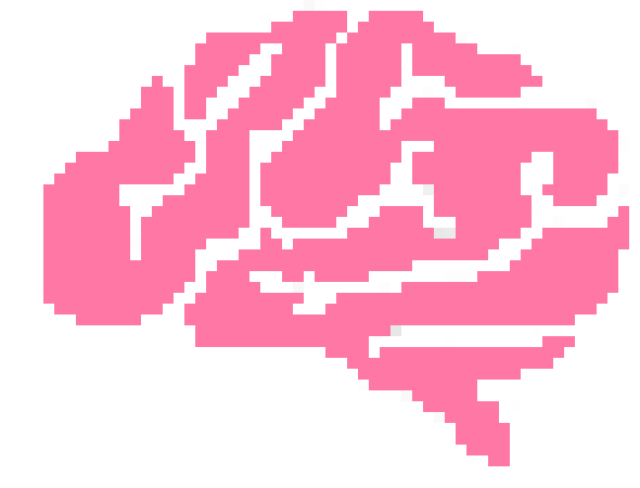 [691d0b] brain
