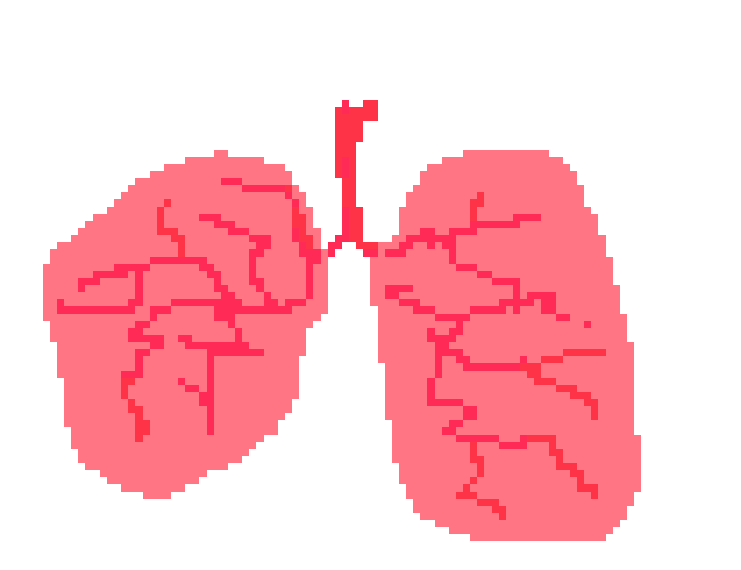[401978] pixel lungs