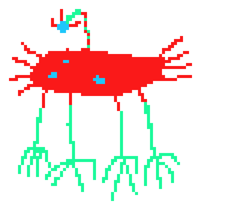 rare pentumbra