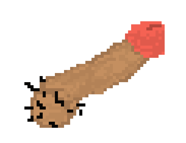 Penis