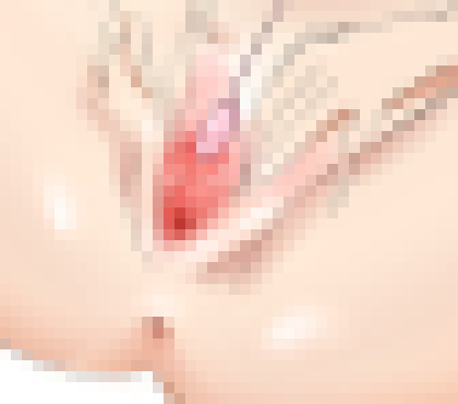 [53a360] Insults = More Porn