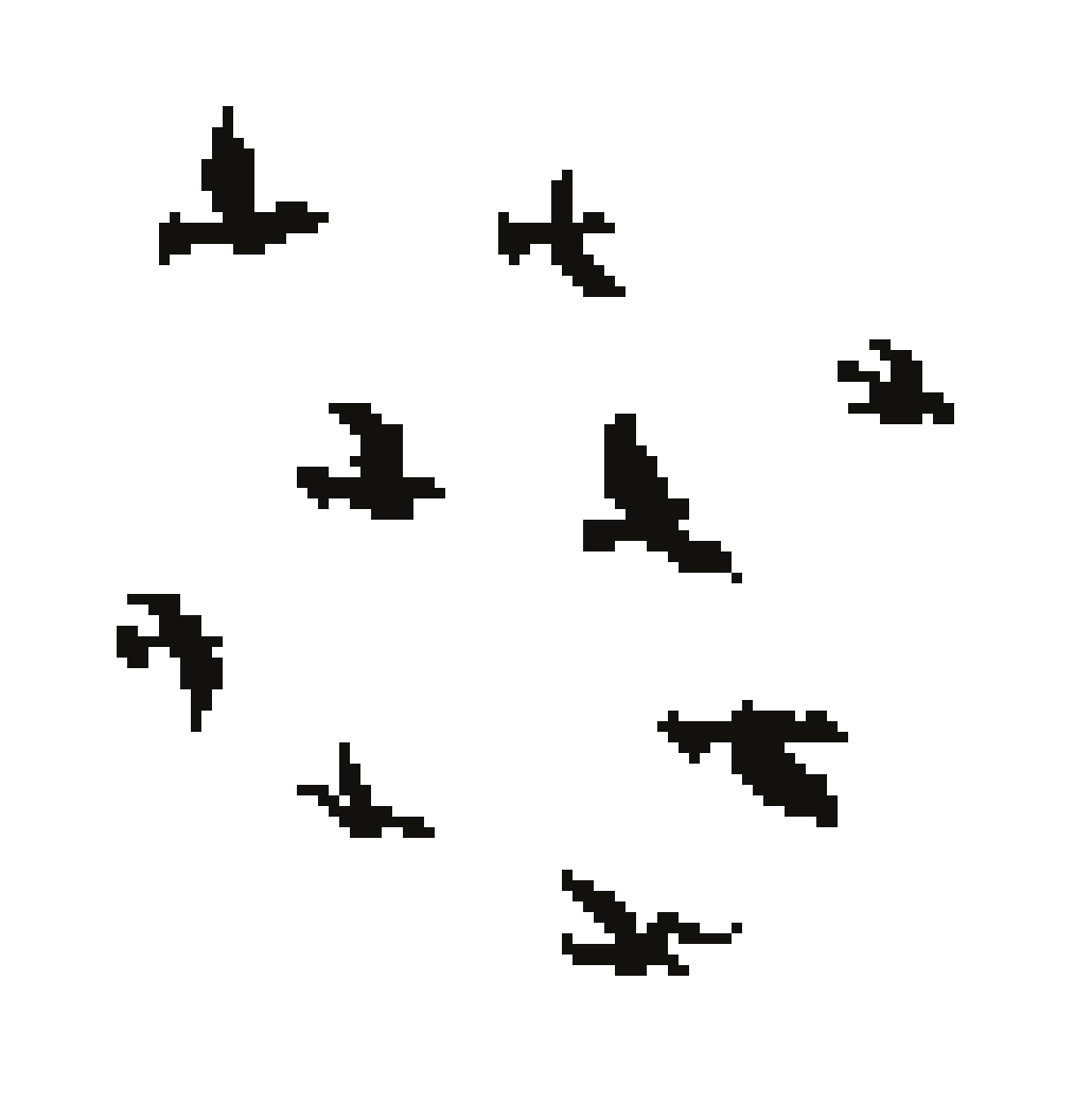 [c0fc99] Birds