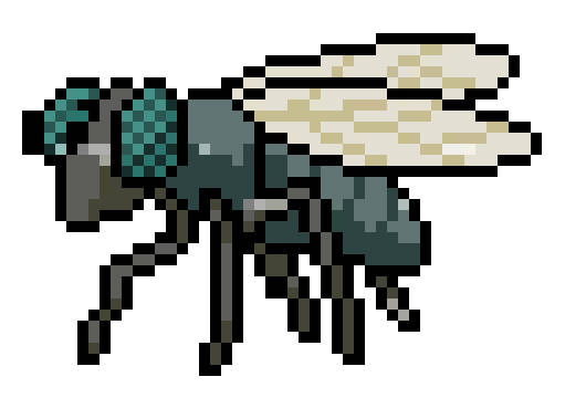 [93cf02] fly_1