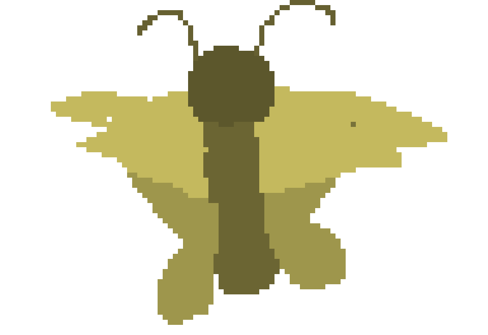 [2017a5] Moth