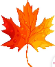 [dfdafc] Thanksgiving_43