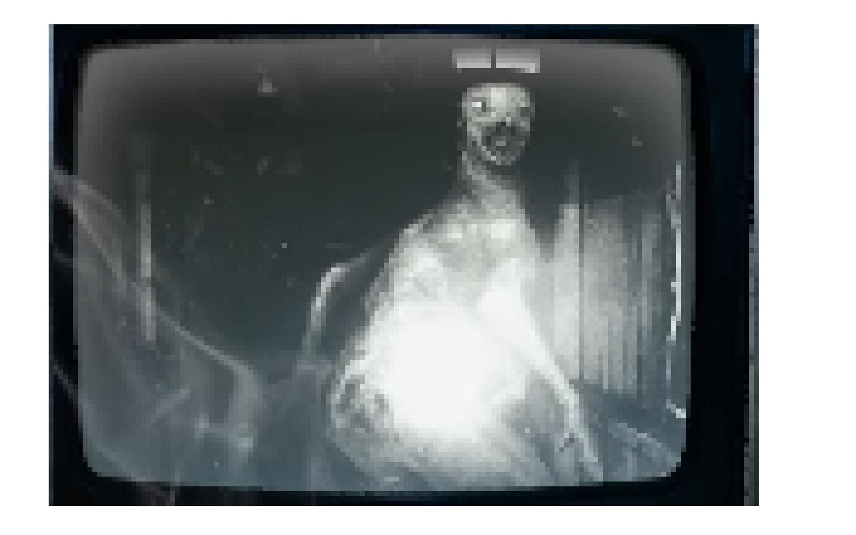 [4eac44] Untitled