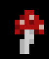 [e881fe] the mushroom grows at a rapid pace