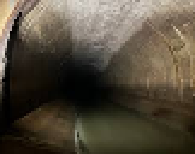 [bce8e5] SEEMINGLY AND DELL TURN: seemingly sees openings to the east and west. dell sees openings to the east and west.
