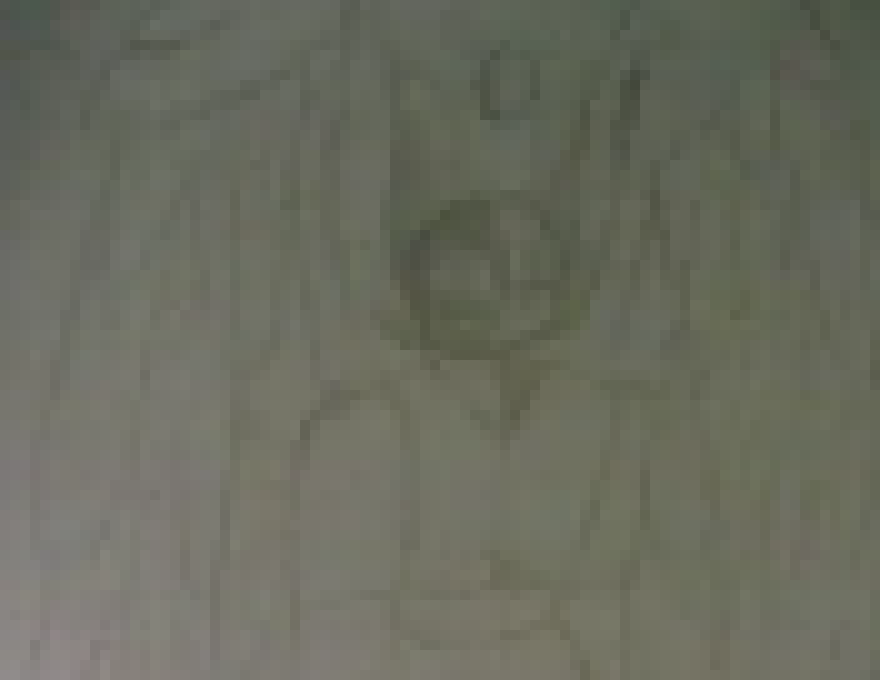 [3637cf] (i hear like 5 different fucking voices downstairs what the hell -Xenoxx)