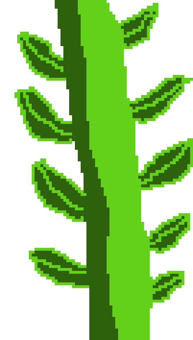 [9664c4] vine