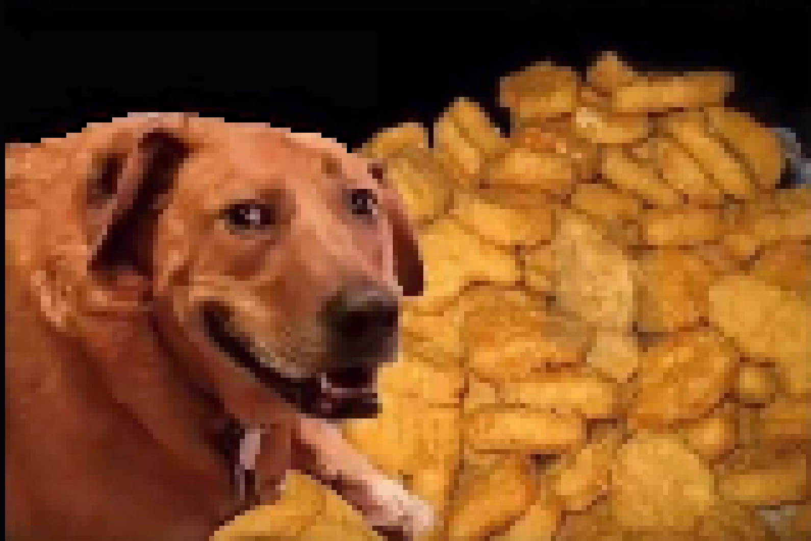 [46bd03] (nuggets.)