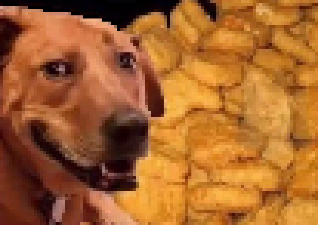 [46bd03] (nuggets.)