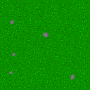 [76839a] grass