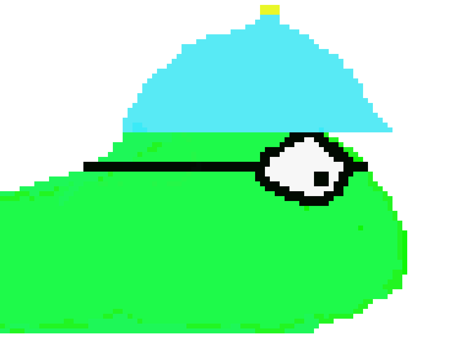 Avi's turtle
