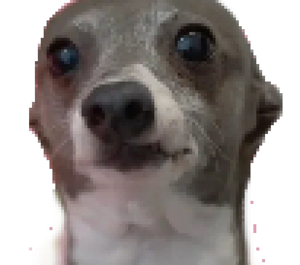 [451df0] jennamarbles kermit the dog