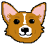 [9664c4] corgi