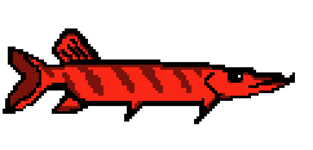 [9664c4] shark
