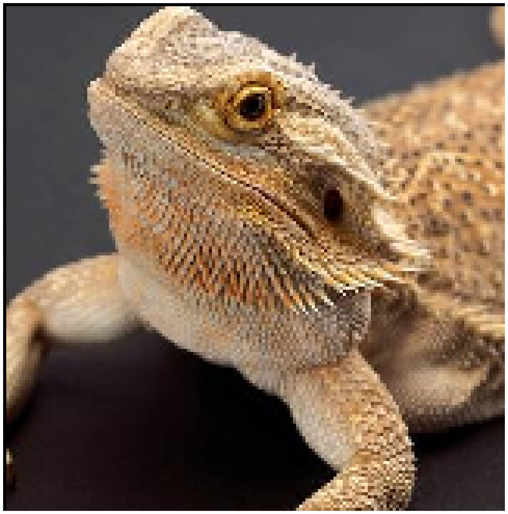 [a782fb] lizard