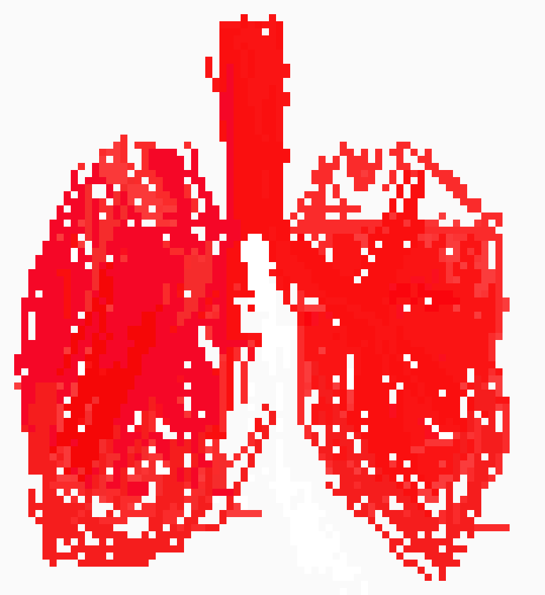 [570043] THE LUNGS