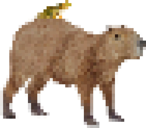 [ebb416] frogybara