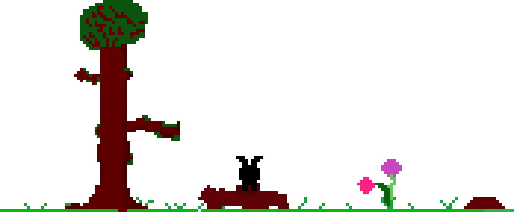 [9664c4] forest