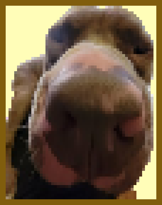 [d0afe1] ZEEK