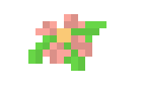 [9664c4] flower