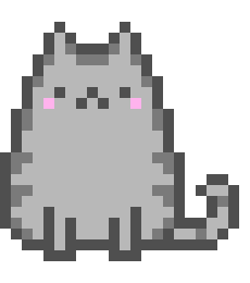 Pusheen Cat!