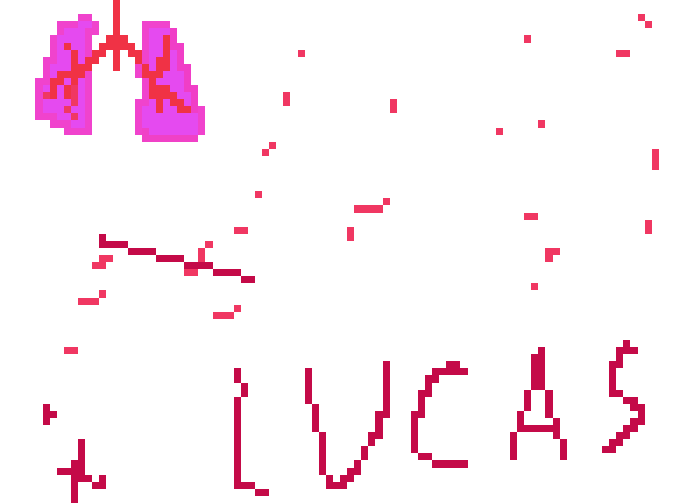 [2b4978] Lungs lucas