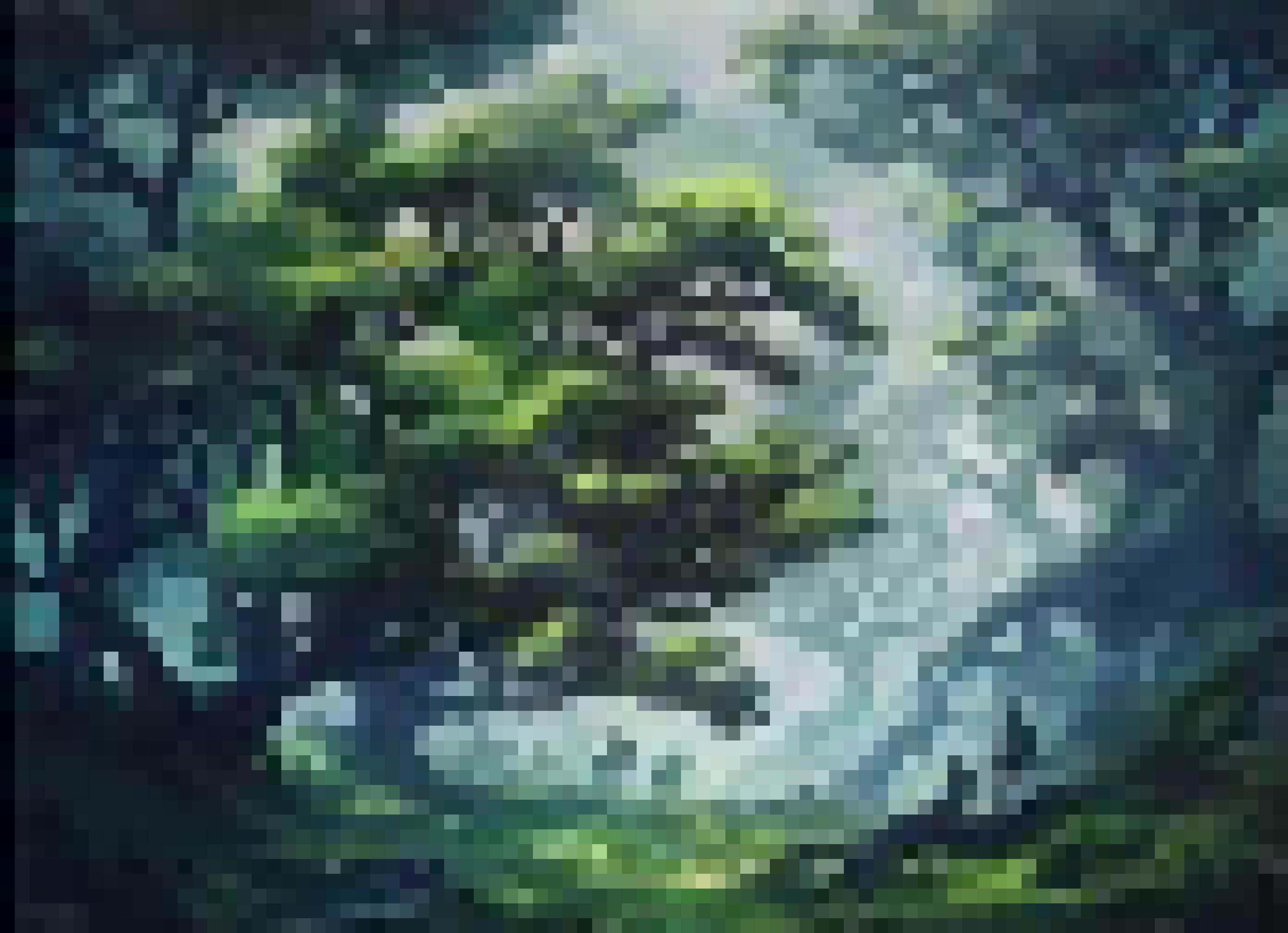 [f943f0] woods