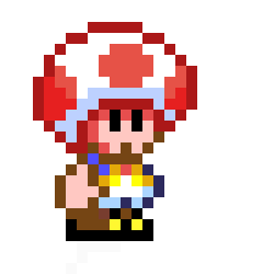 SMW Regular Toad