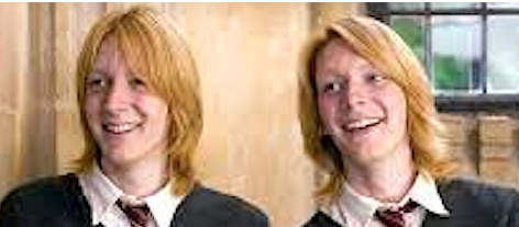 [1a9860] fred and george 