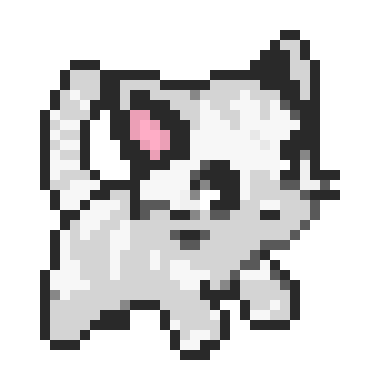 Cute Cat 