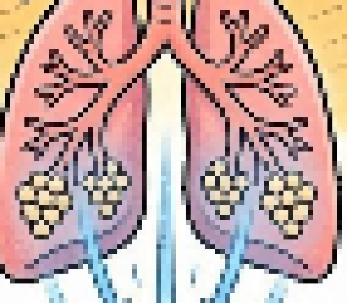 [71dab7] Lungs