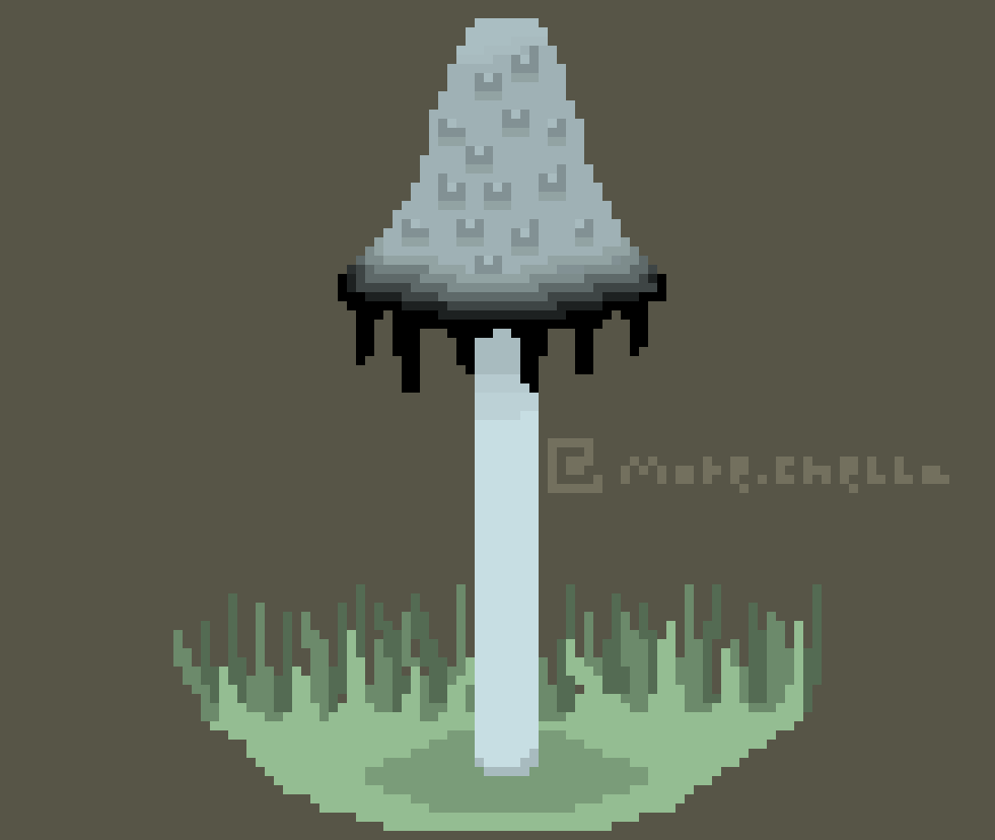 [2dd8fc] Inky Cap by more.chella on instagram