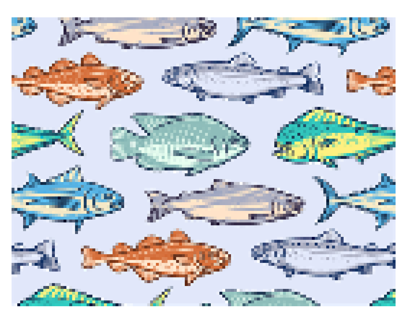 [56bc2e] fish