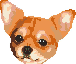 [dfdafc] Dog_29
