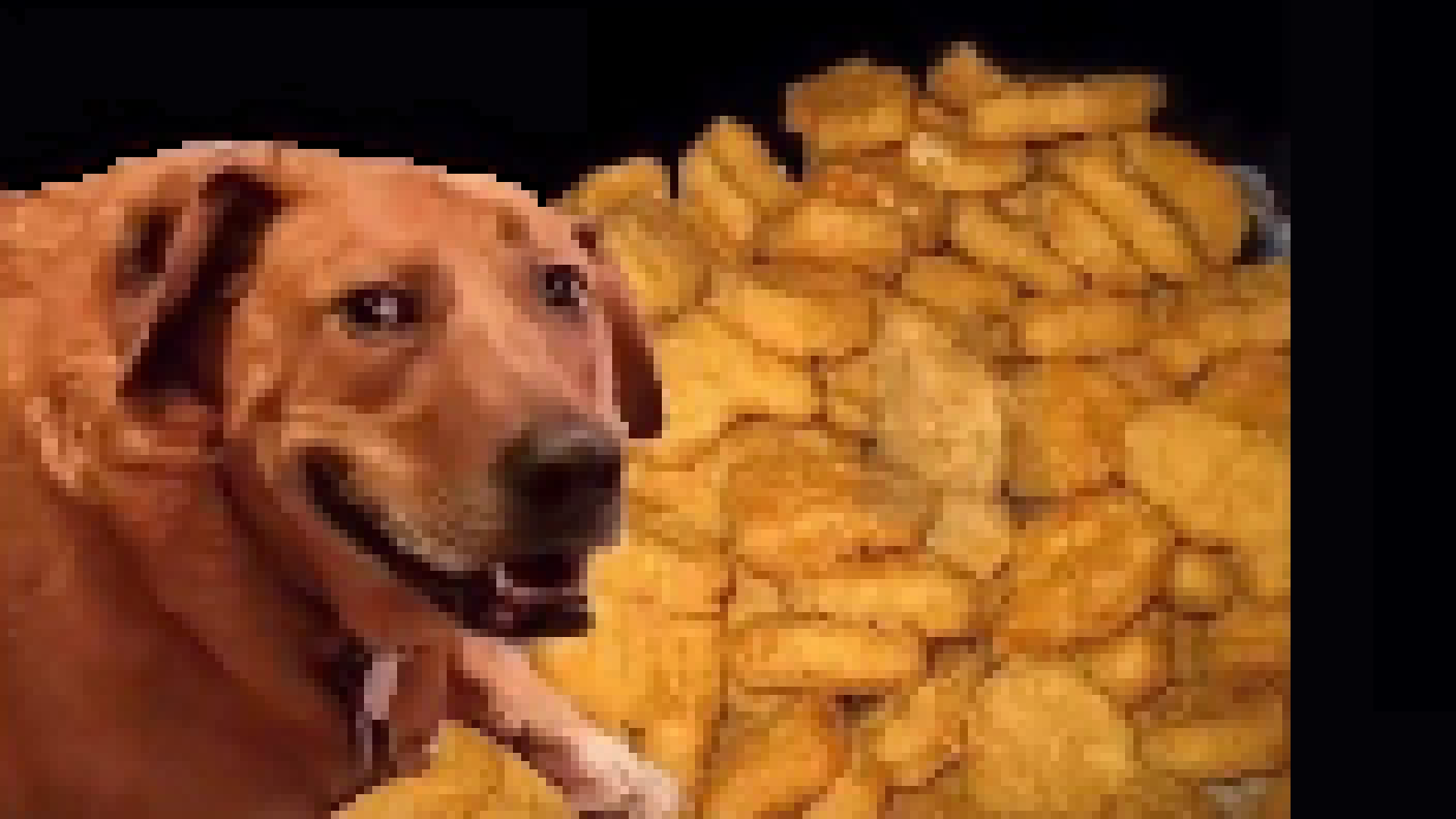 [46bd03] (nuggets.)