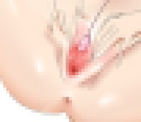 [53a360] Insults = More Porn