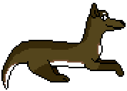 [9664c4] Dragon