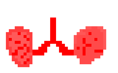 [ffd3a9] lungs