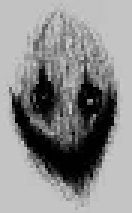 [3e26cb] Scary face