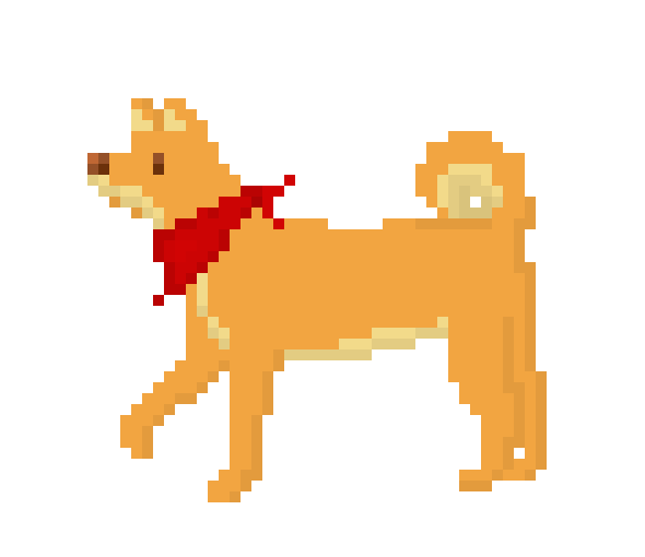 shiba dog